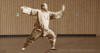 Tai Chi Geheimnisse